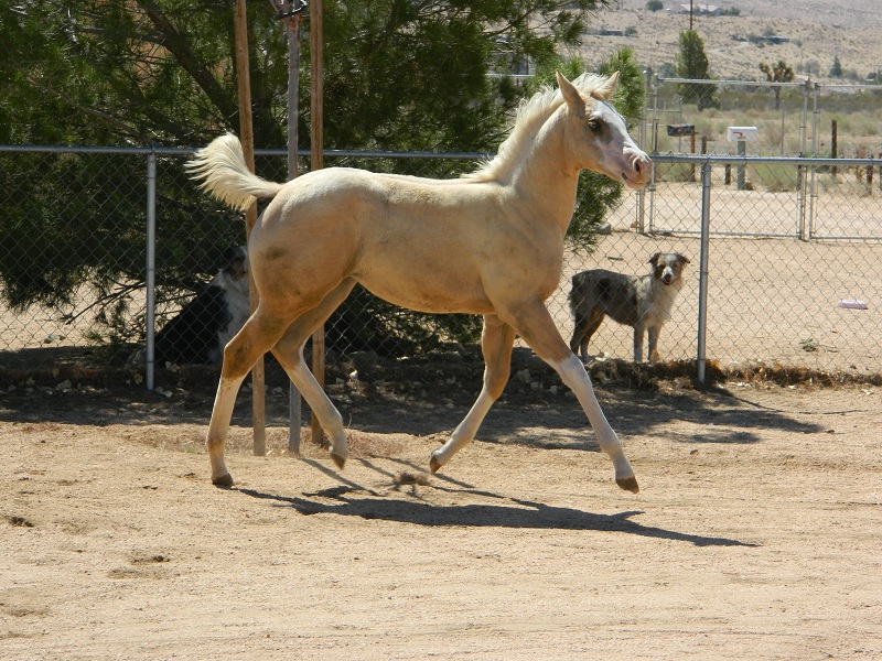 annie1029.jpg