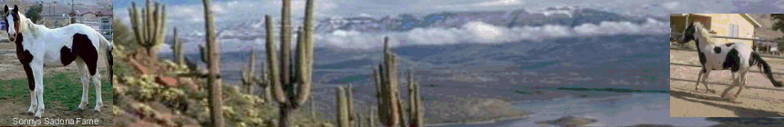 banner811.gif