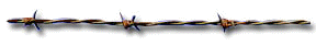 barbedwire_seperator.gif